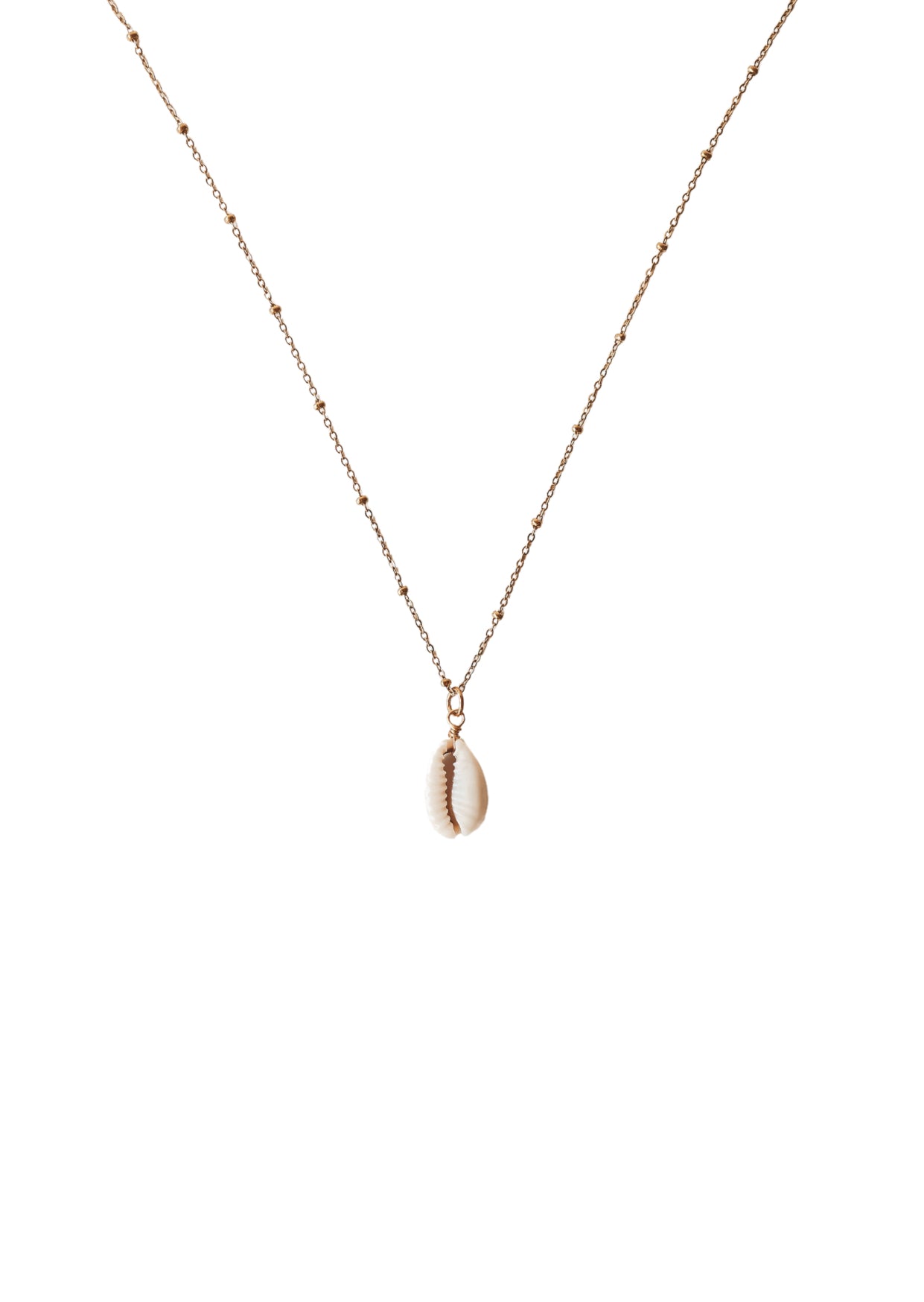 Gold Cowrie Shell Pendant Necklace