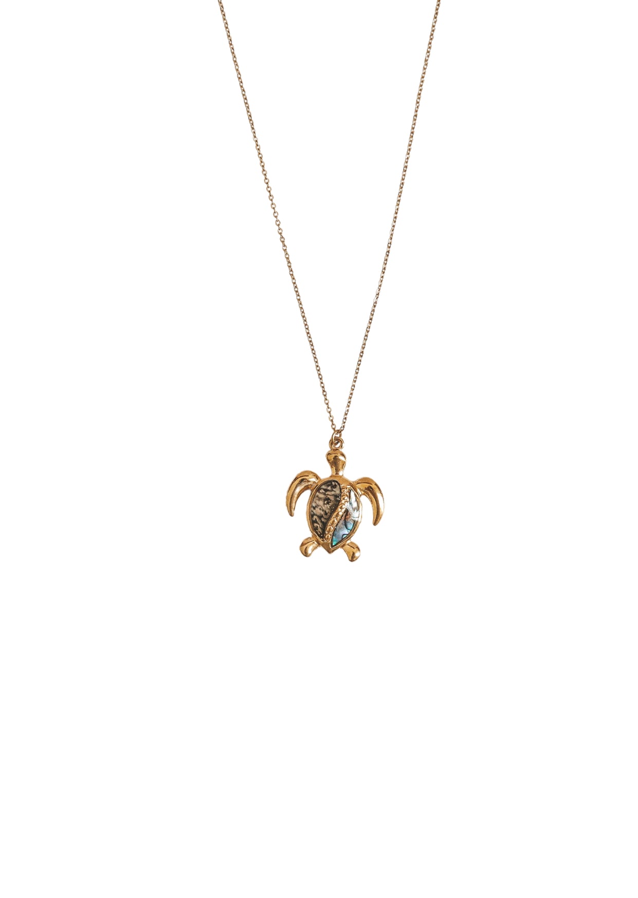 Sea Turtle Abalone Shell Gold Charm Necklace