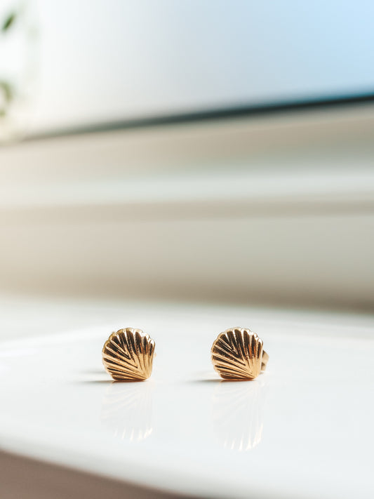 Gold Shell Stud Earrings