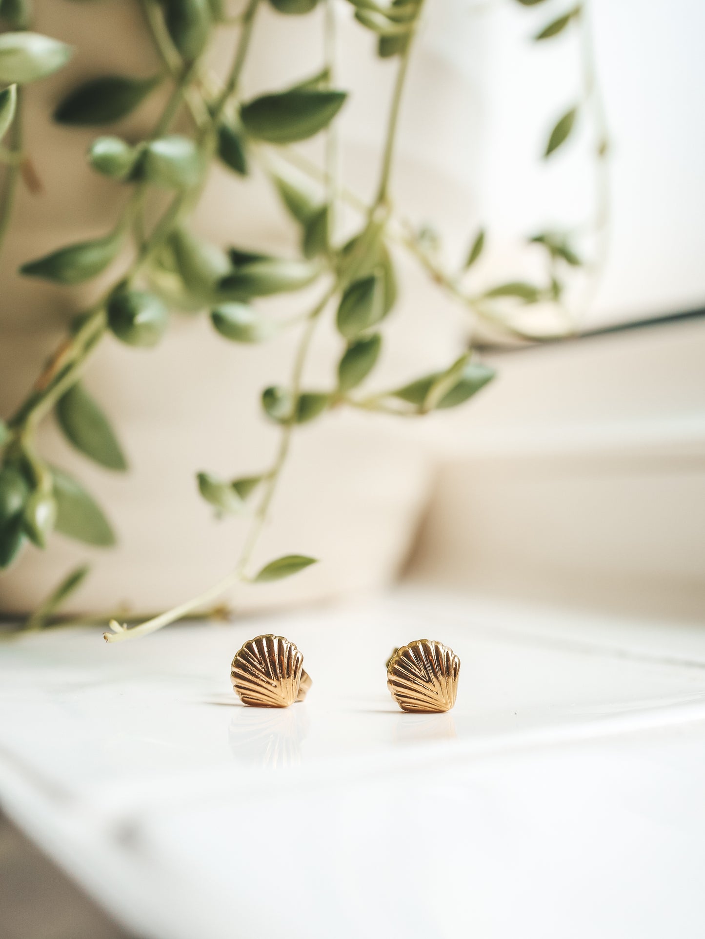 Gold Shell Stud Earrings