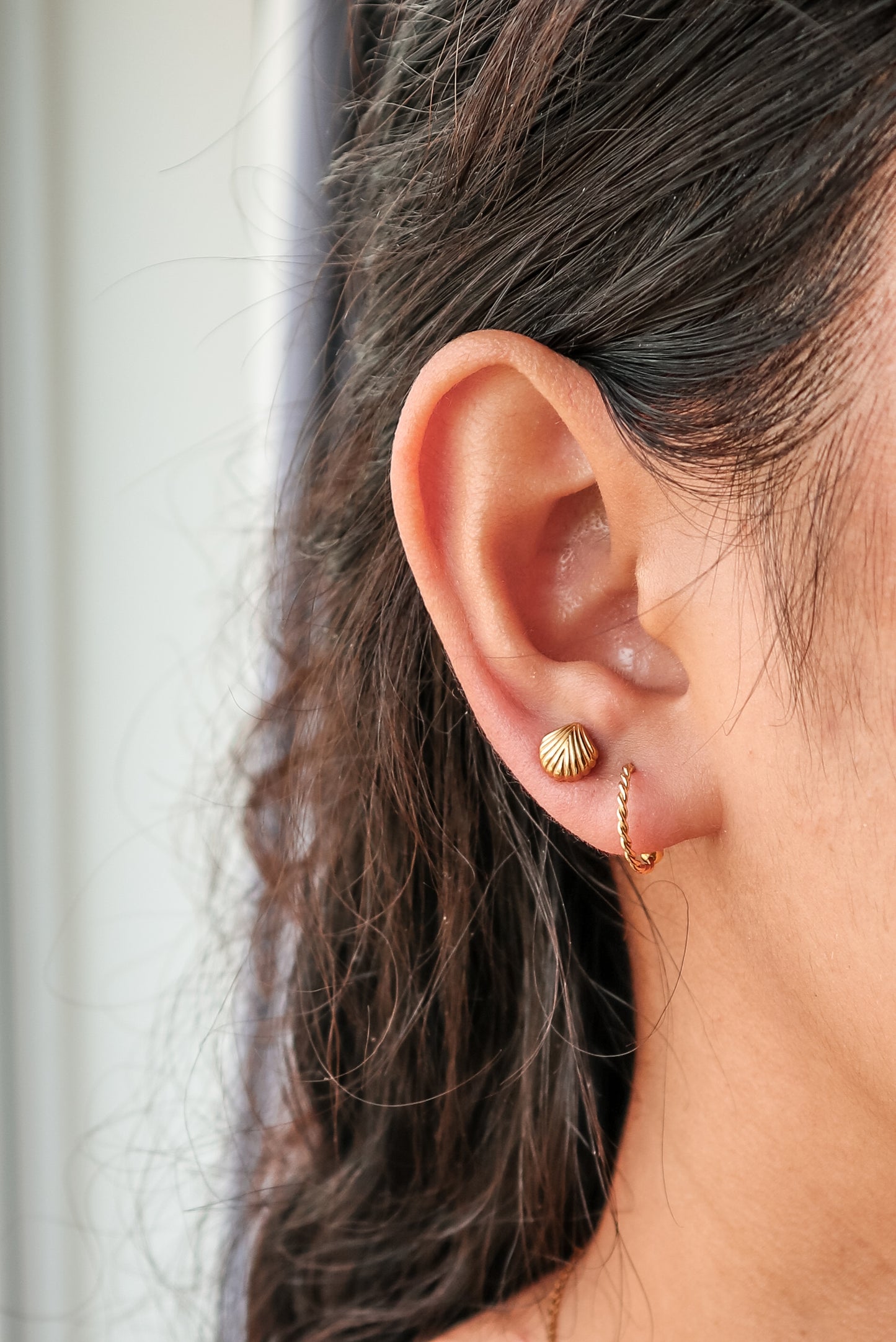 Gold Shell Stud Earrings