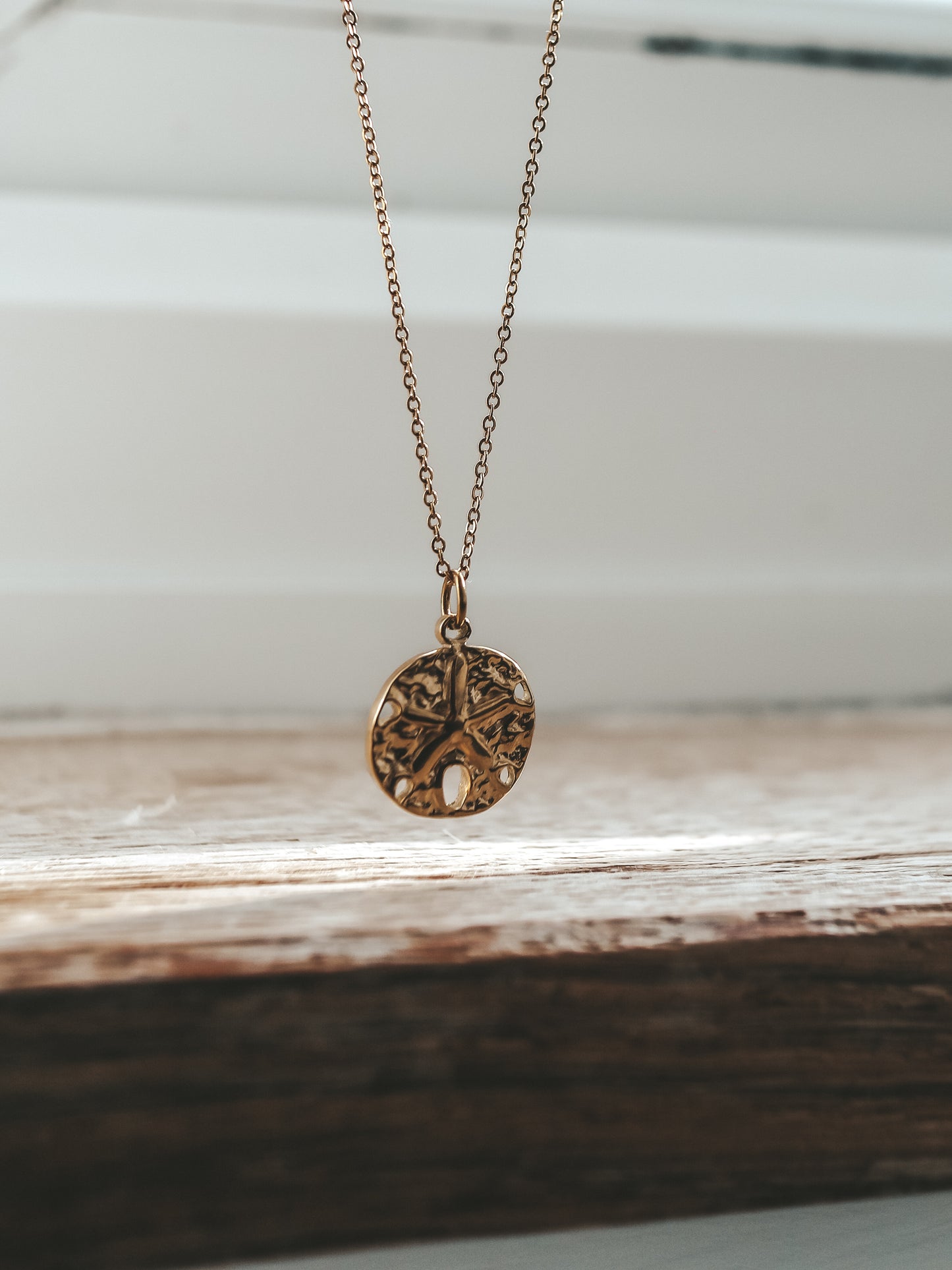 Sand Dollar Charm Gold Necklace