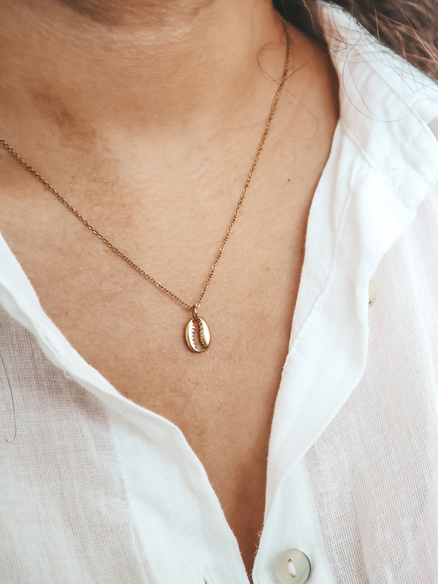 Lakey Peak Cowrie Shell Gold Necklace