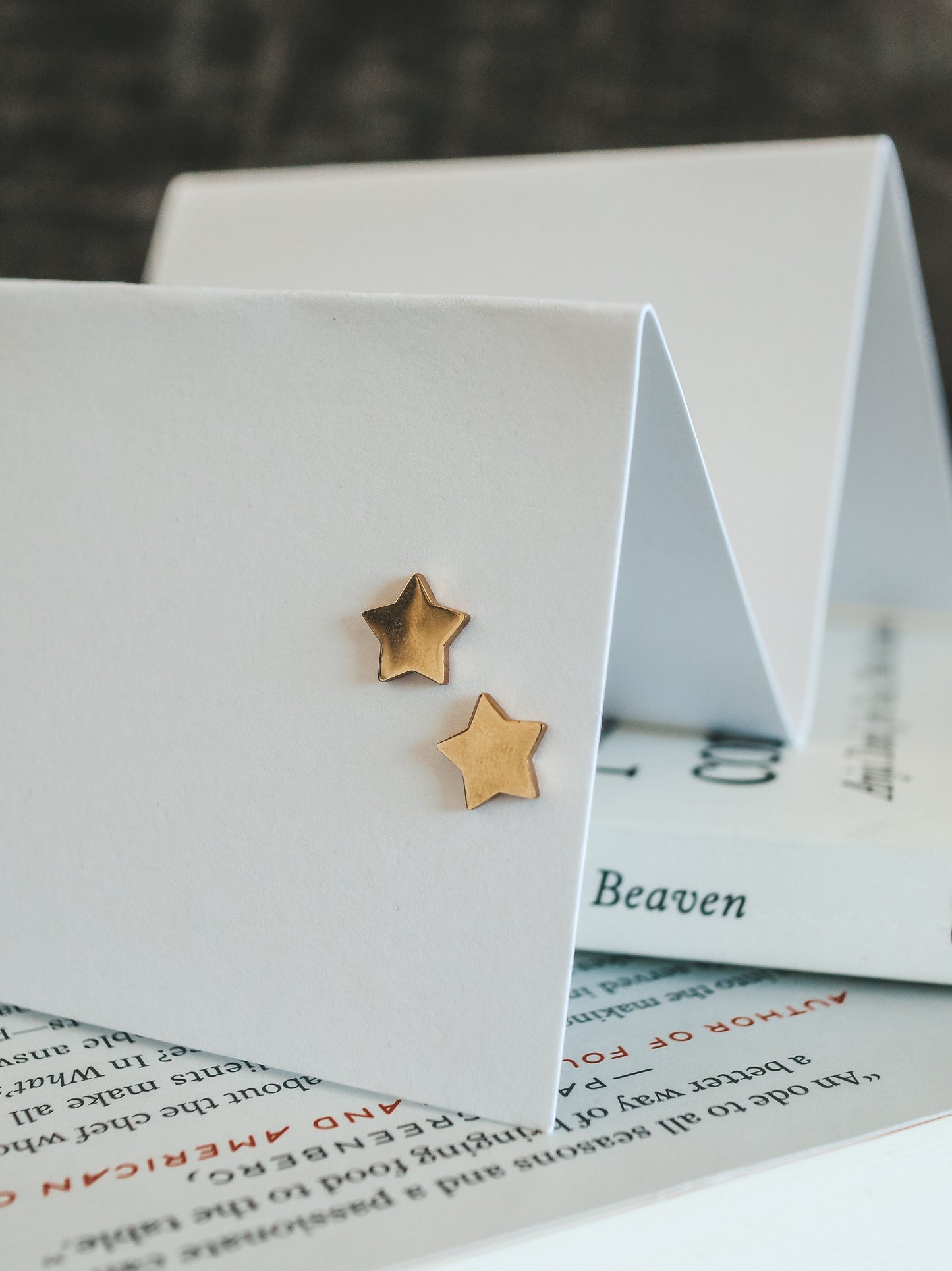 Bintang Star Post Earring