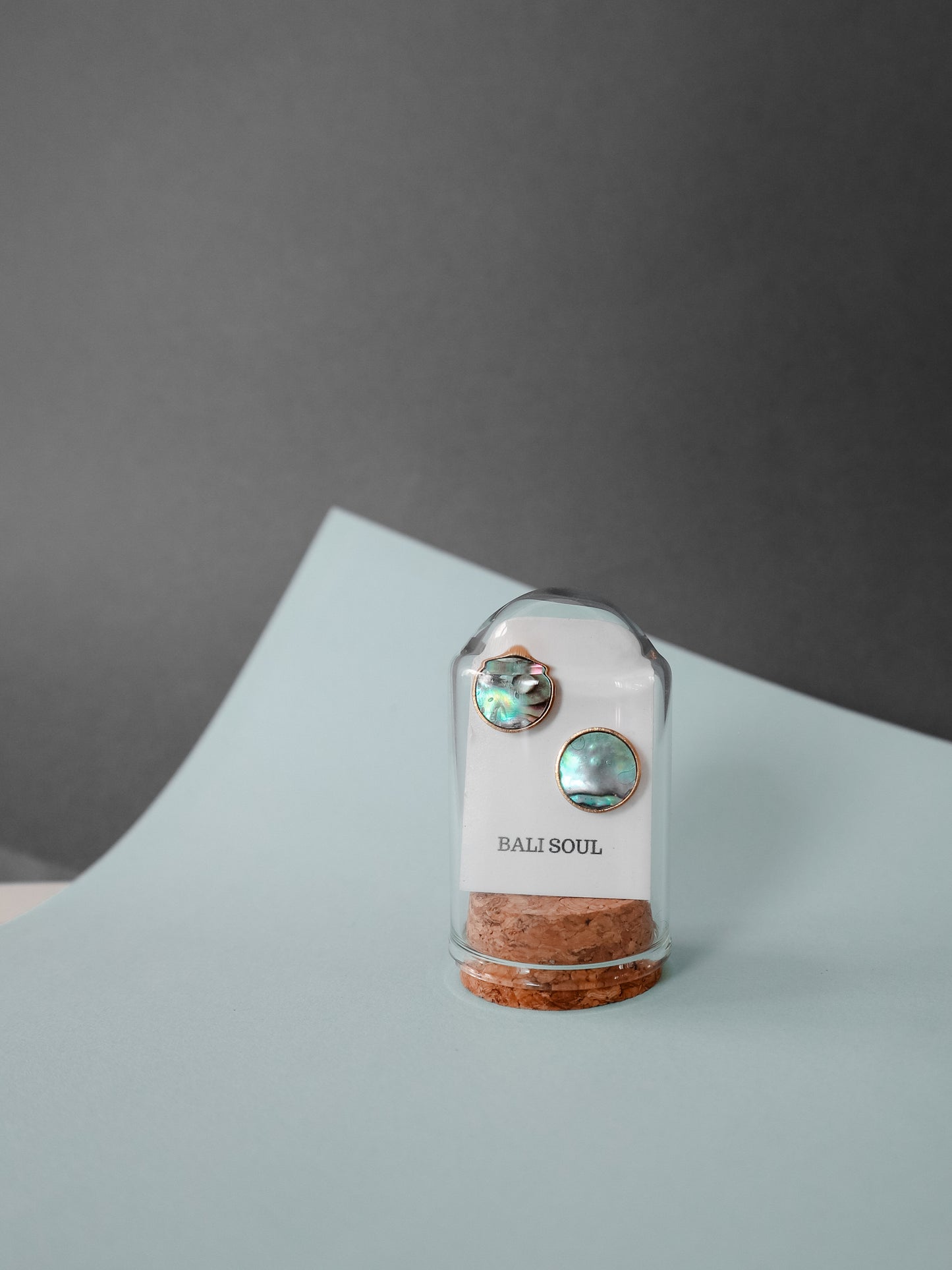 Abalone Shell Stud Earrings