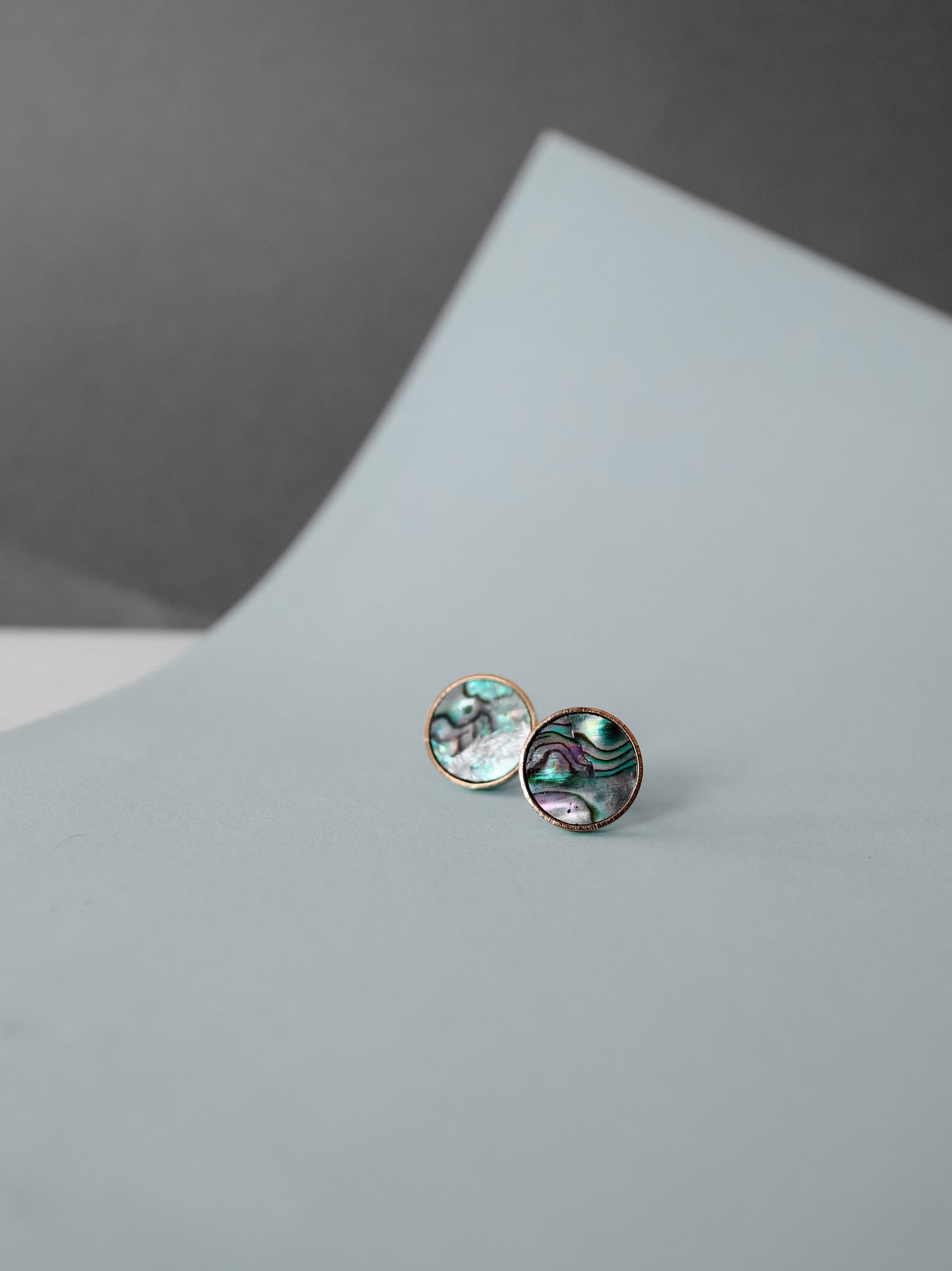 Abalone Shell Stud Earrings