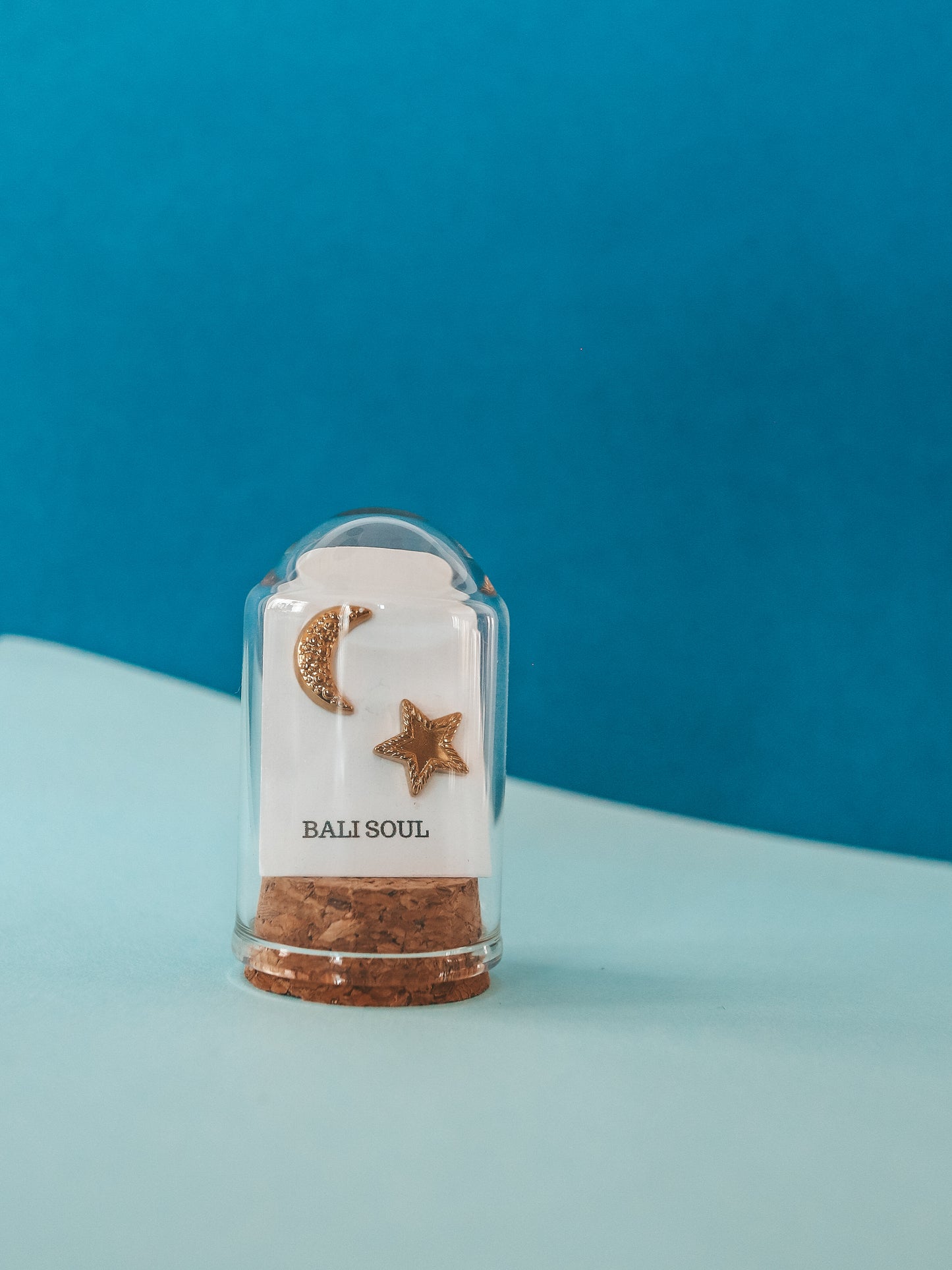Star and Moon Stud Earrings