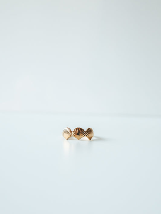 Coastal Gold Open Shell Ring