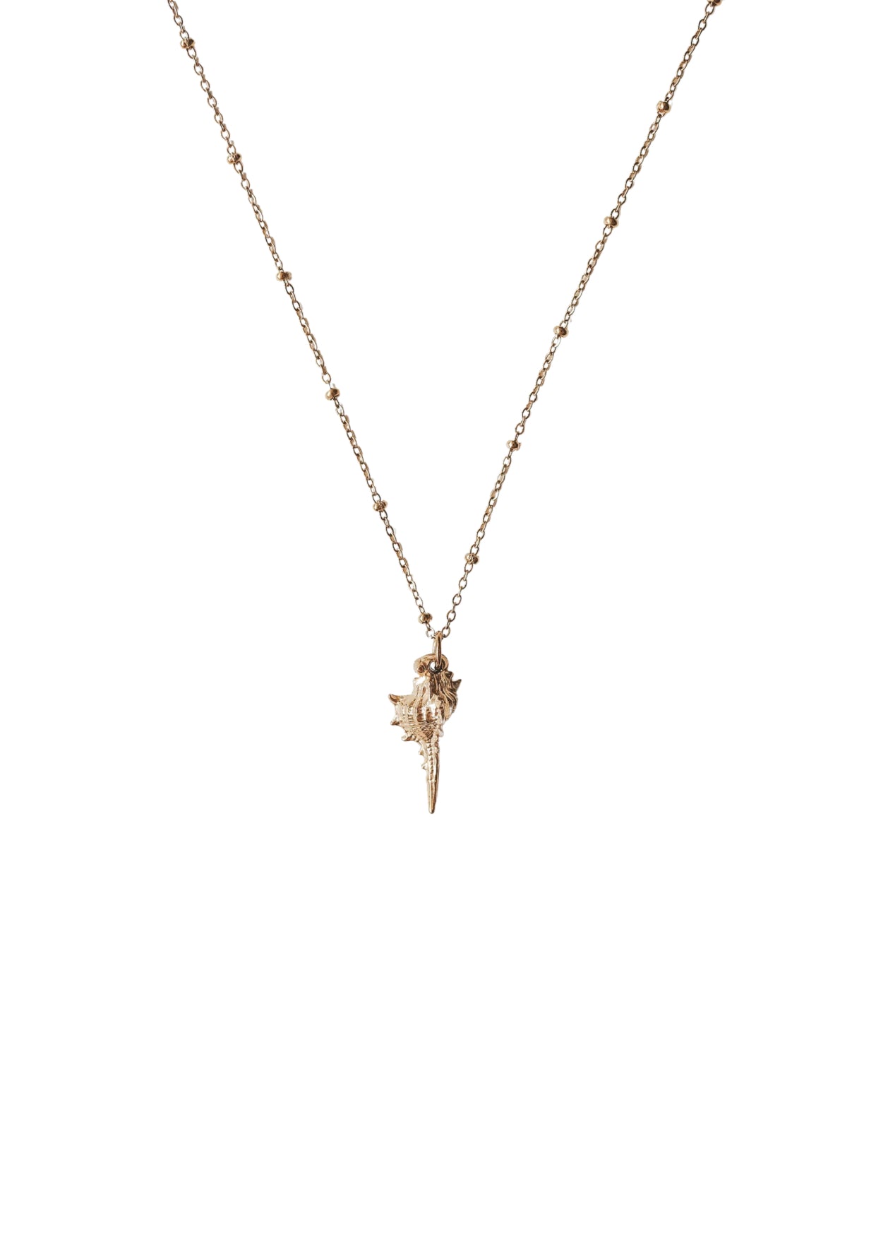 Gold Conch Shell Necklace